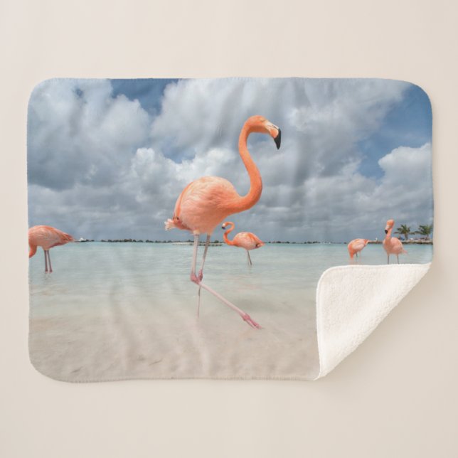 Cobertor Sherpa Praias Tropicais | Flamingos Beach, Aruba (Frente (Horizontal))