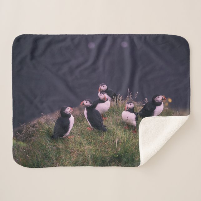 Cobertor Sherpa Puffins Atlântico (Frente (Horizontal))