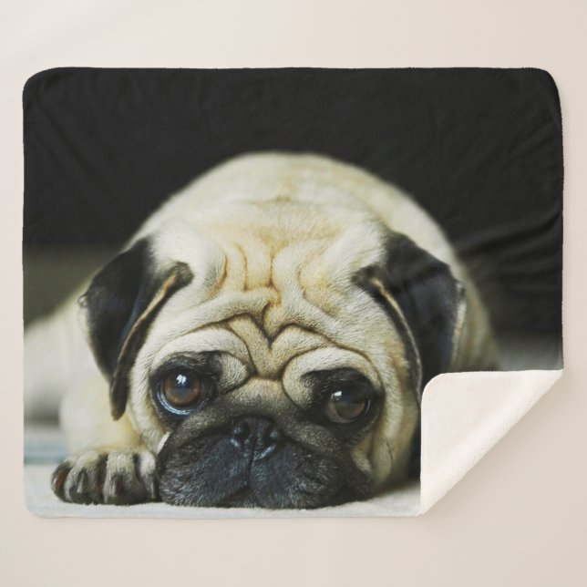 Cobertor Sherpa Pug (Frente (Horizontal))