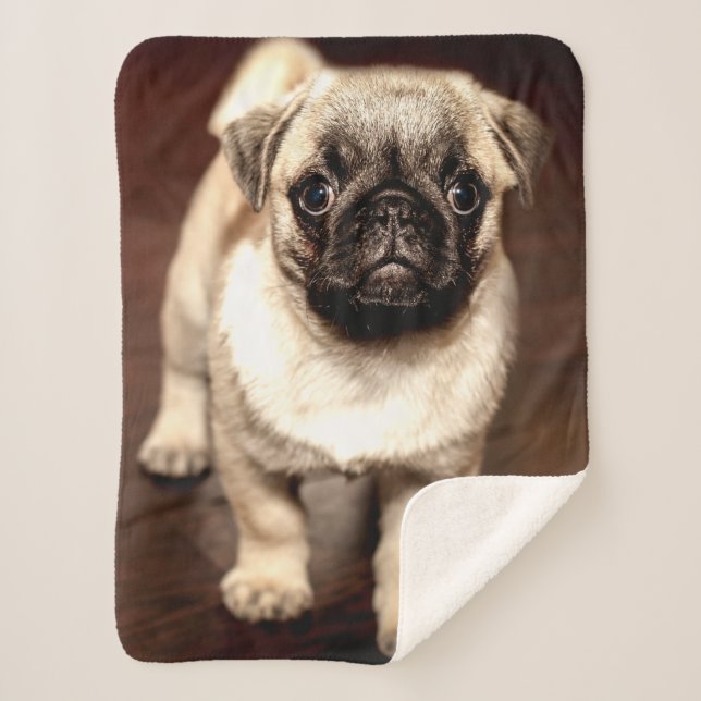 COBERTOR SHERPA PUG PUPPY (Frente)