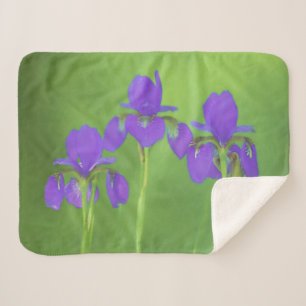 Cobertor Sherpa Púrpura Iris - Arte Flor Original