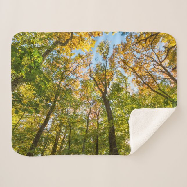 Cobertor Sherpa Queda em uma Floresta em Amesbury, Massachusetts (Frente (Horizontal))