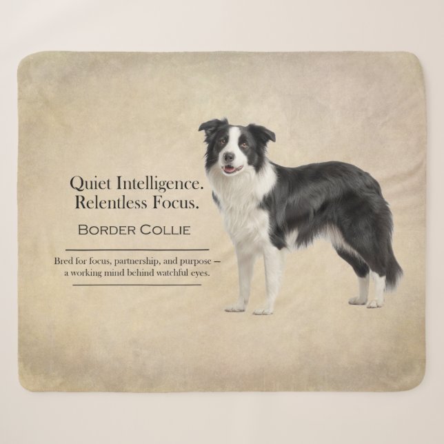 Cobertor Sherpa Quiet Intelligence Border Collie (Frente (Horizontal))