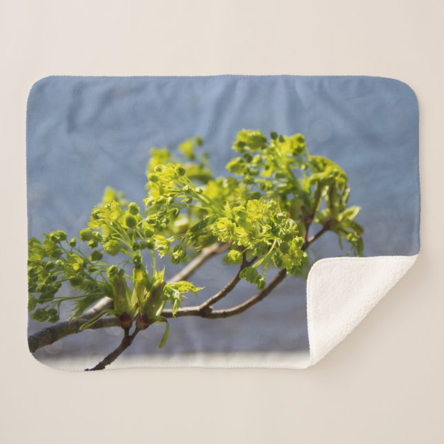 Cobertor Sherpa Ramificação verde-branca no vento (Frente (Horizontal))
