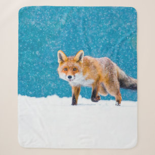 Cobertor Sherpa Raposa no inverno. Raposa vermelha, Vulpes vulpes,
