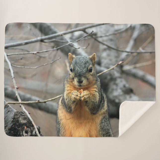 COBERTOR SHERPA RED SQUIRRL (Frente (Horizontal))