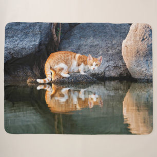 Cobertor Sherpa Reflexão de Gatos em Pond Water Funny Kitten Foto