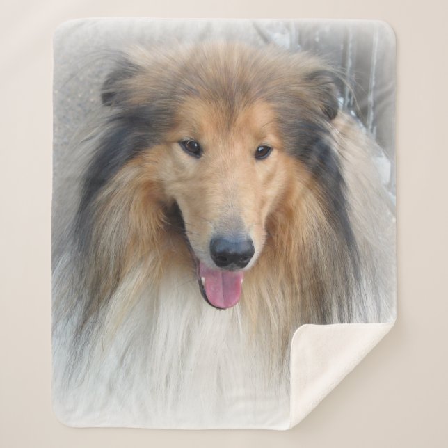 Cobertor Sherpa Retrato de Collie grosso (Frente)