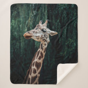 COBERTOR SHERPA RETRATO DE CUTE GIRAFFE