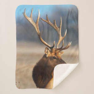 Cobertor Sherpa Retrato de uma Elk Touro Incrível