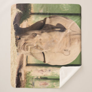 Cobertor Sherpa Rhino Branco