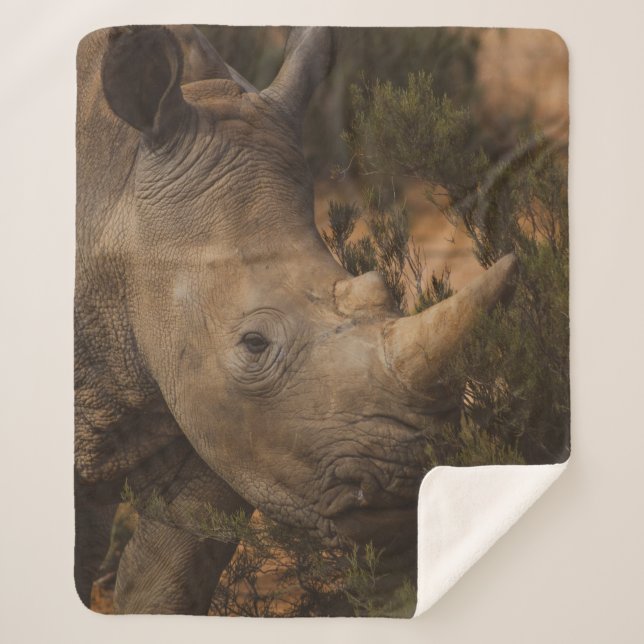 COBERTOR SHERPA RHINO SELVAGENS (Frente)