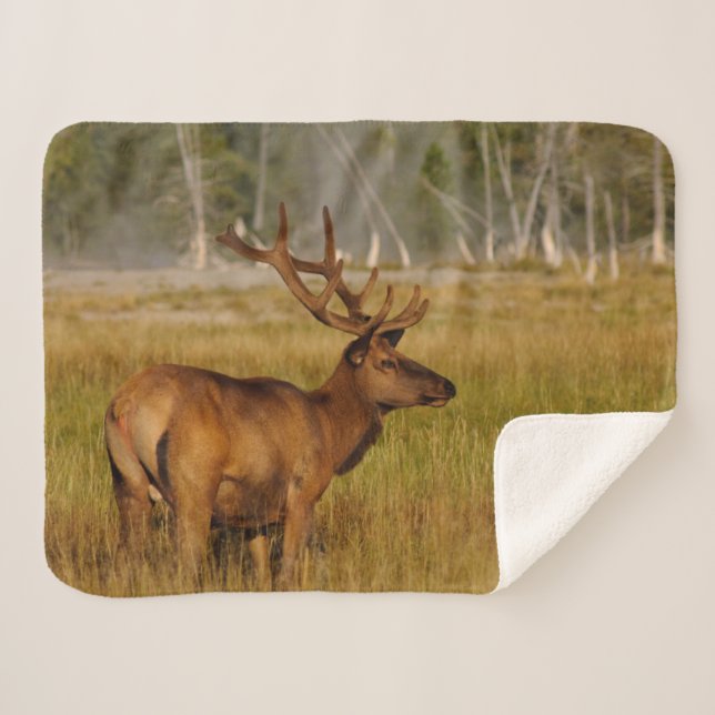 Cobertor Sherpa Rocky Mountain Elk | Parque Nacional Yellowstone (Frente (Horizontal))