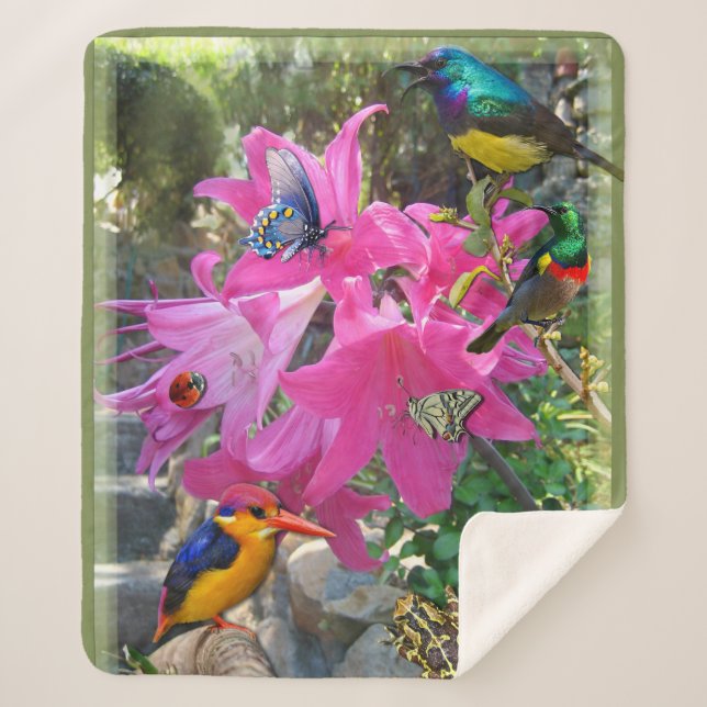Cobertor Sherpa Rosa- Amaryllis & Kingfisher Poster (Frente)