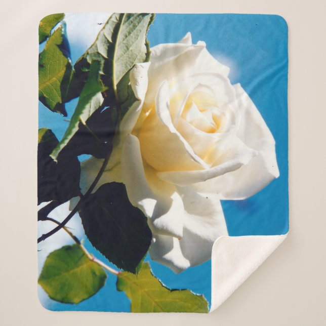 Cobertor Sherpa Rosa branca sob o céu azul (Frente)