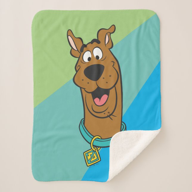 Cobertor Sherpa Rosto Scooby-Doo Sorrindo (Frente)