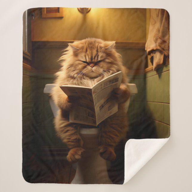 Cobertor Sherpa Santuário de Filósofo | O Dígito Diário (Frente)