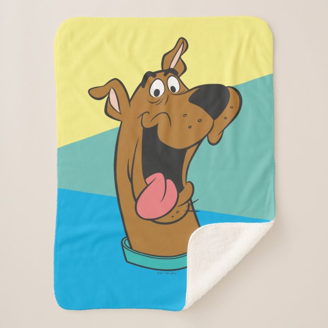 Cobertor Sherpa Scooby-Doo Tongue Out (Frente)