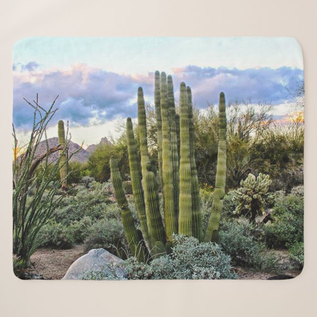 Cobertor Sherpa Scottsdale Succulent Sunset (Frente (Horizontal))