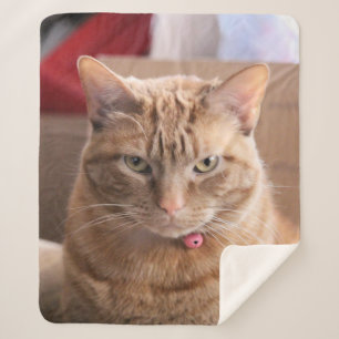 Cobertor Sherpa Sério