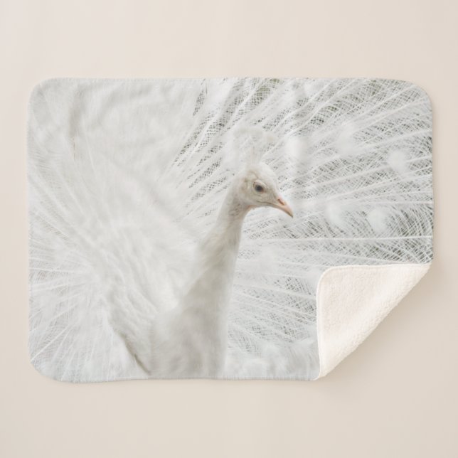 Cobertor Sherpa Sherpa Blanket (Frente (Horizontal))