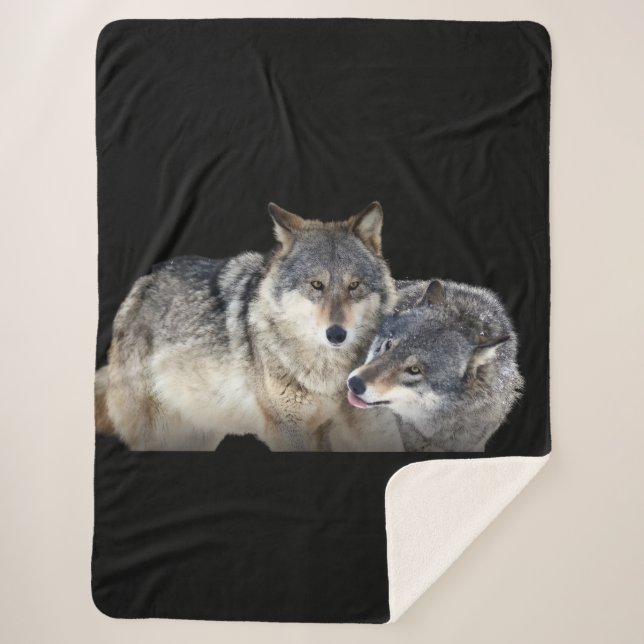 Cobertor Sherpa Sherpa Blanket (Frente)