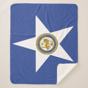 Cobertor Sherpa Sherpa Blanket com bandeira de Houston