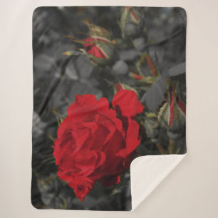 Cobertor Sherpa Sherpa Blankets, artesanato, feriado, elegante, co