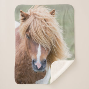 Cobertor Sherpa Shetland Pony na ilha de Unst