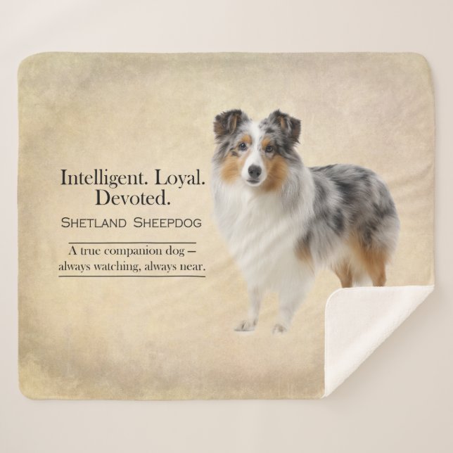 Cobertor Sherpa Shetland Sheepdog Loyalty and Quiet Devotion (Frente (Horizontal))