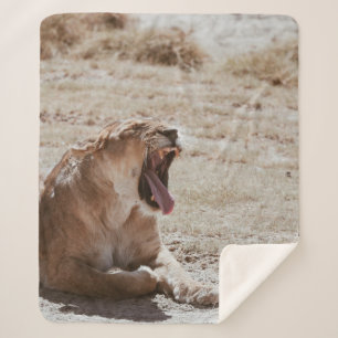 COBERTOR SHERPA SLEEPY LION