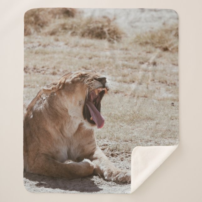 COBERTOR SHERPA SLEEPY LION (Frente)