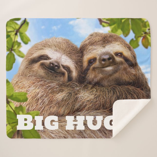 Cobertor Sherpa Sloth Couple (Frente (Horizontal))