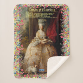 Cobertor Sherpa Sm-Sh (Rainha Charlotte C)SDCescartazes ©️ 2024