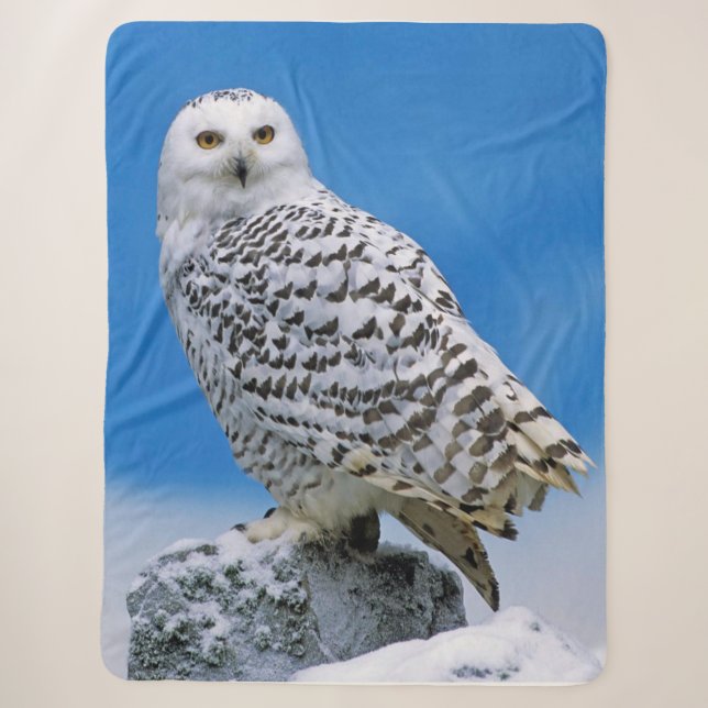 Cobertor Sherpa Snow Owl (Frente)