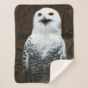 Cobertor Sherpa Snowy Owl sbcn