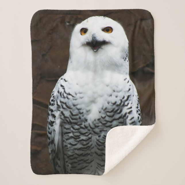 Cobertor Sherpa Snowy Owl sbcnm (Frente)