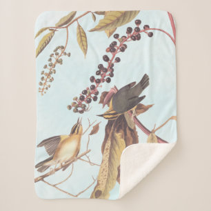 Cobertor Sherpa Songbird Audubon Warbler Comedor de Vermes