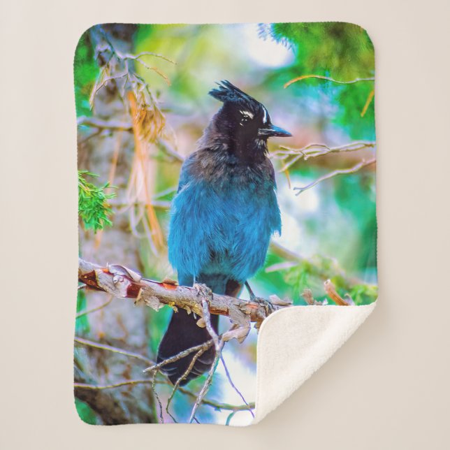 Cobertor Sherpa Steller's Jay - Fotografia original (Frente)