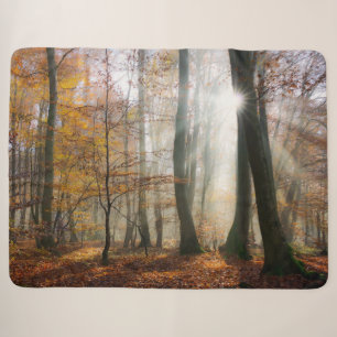 Cobertor Sherpa Sun Rays Mystic Scense Fall Forest Foto da Naturez