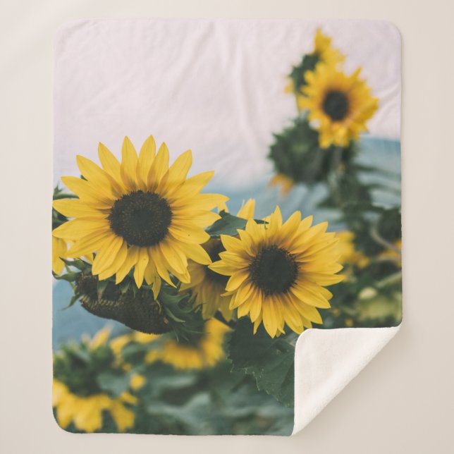COBERTOR SHERPA SUNDLOWERS AMARELOS (Frente)
