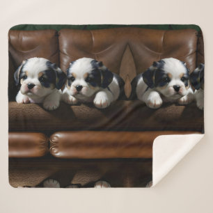 Cobertor Sherpa Super Bonitinhos no sofá 1