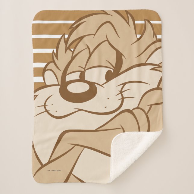 Cobertor Sherpa TAZ™ Expressivo 31 (Frente)