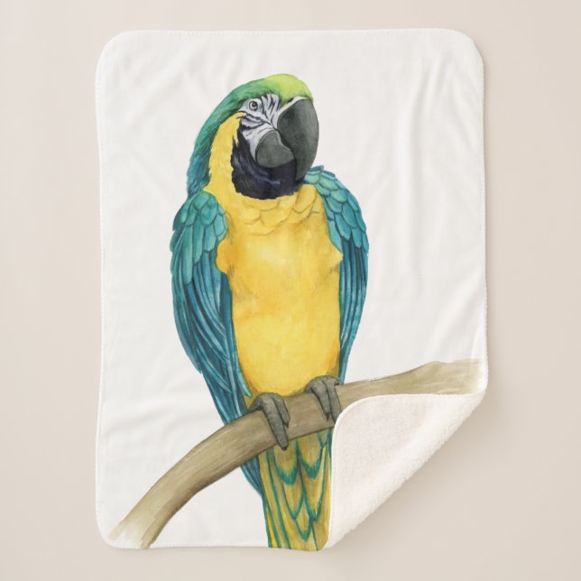 Cobertor Sherpa Teal Macaw (Frente)