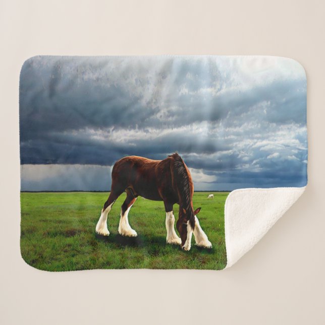 Cobertor Sherpa Tempestade de Clydesdale (Frente (Horizontal))