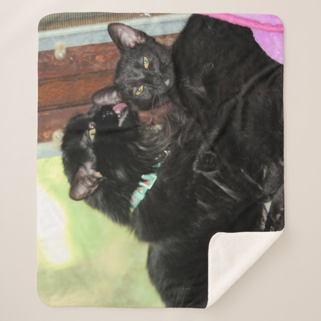 Cobertor Sherpa Tempo de banho (Frente)