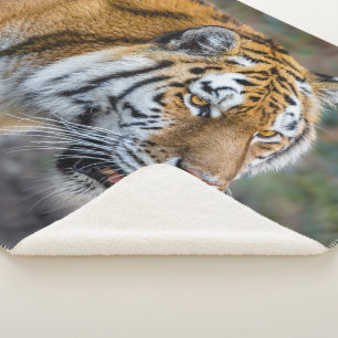 Cobertor Sherpa Tíger Amur