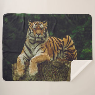 Cobertor Sherpa TIGER no REST