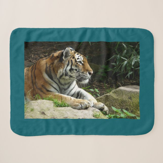 Cobertor Sherpa Tigre (Frente (Horizontal))