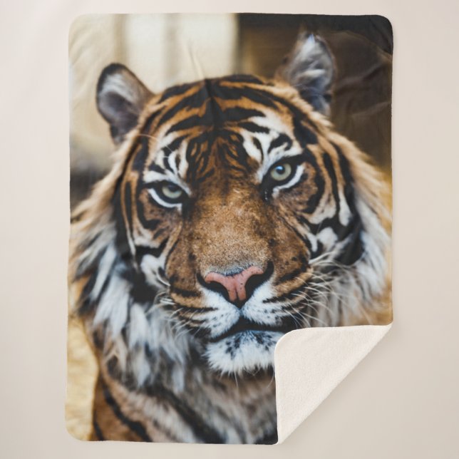 COBERTOR SHERPA TIGRE (Frente)